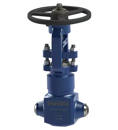 High temperature and high pressure stop valve J61Y-320V